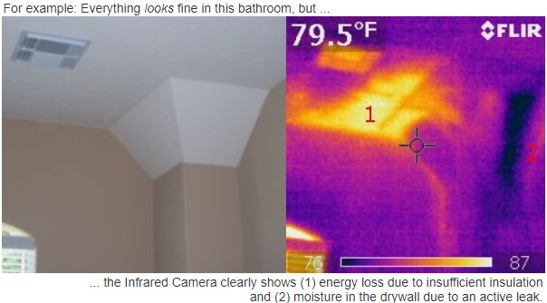 Thermal Inspection of house