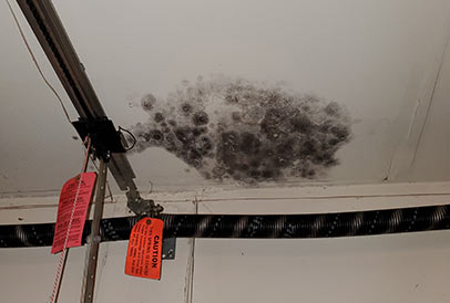 mold on ceiling of home